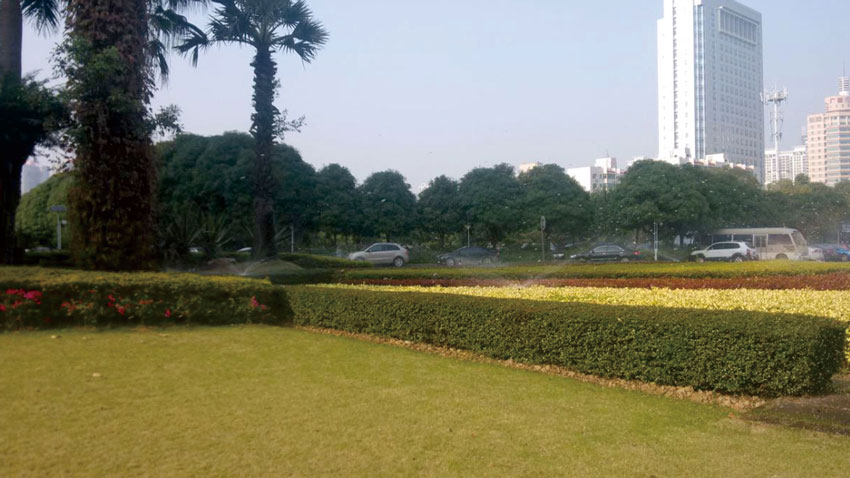 园林灌溉 南宁市市政府大院 草坪苗圃喷灌